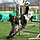 Intensivtraining