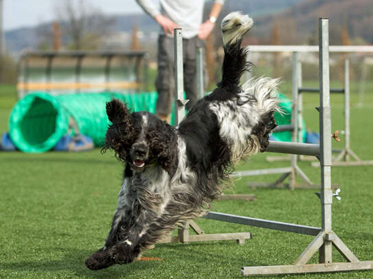 Intensivtraining