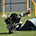 Intensivtraining