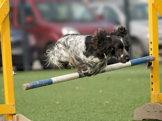 Intensivtraining