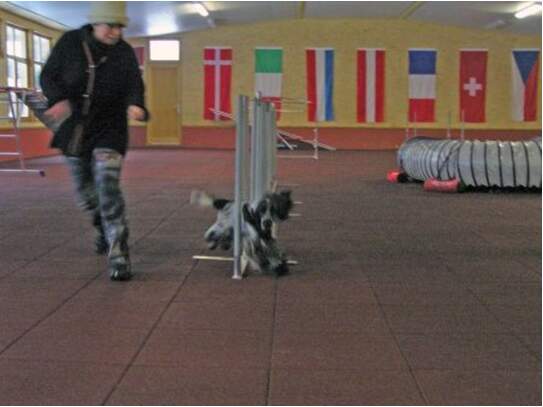 Floyd im Slalom