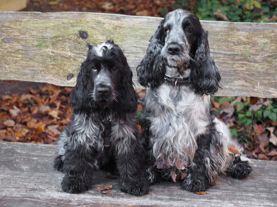 Cloud und Chedi auf der Bank