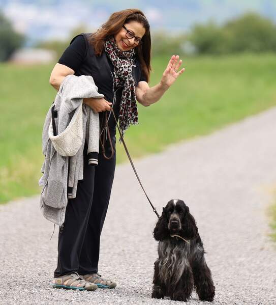 auf Wiedersehen bis zum nächsten mal
