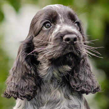 Cloud - Esqueen HAT TRICK