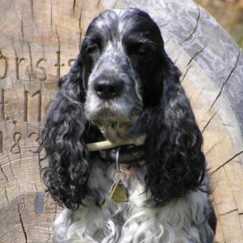 Flash - Lightning Flash Of Draten