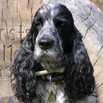 Flash - Lightning Flash Of Draten