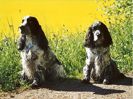 Flynn und Flash May 2003