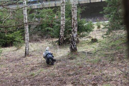 suchen, suchen, suchen wo ist die Person??