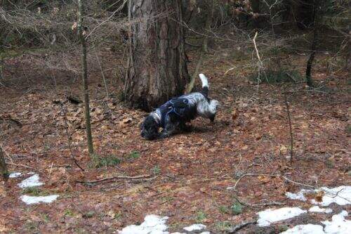 da ist sie doch durchgelaufen.........