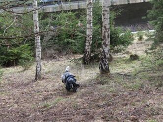 suchen, suchen, suchen wo ist die Person??