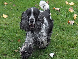 Floyd war mein allerliebster Freund und  Engel auf Erden