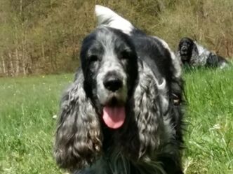 Floyd hat stets Freude im Herzen