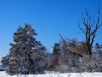 Stimmung am Lützelsee