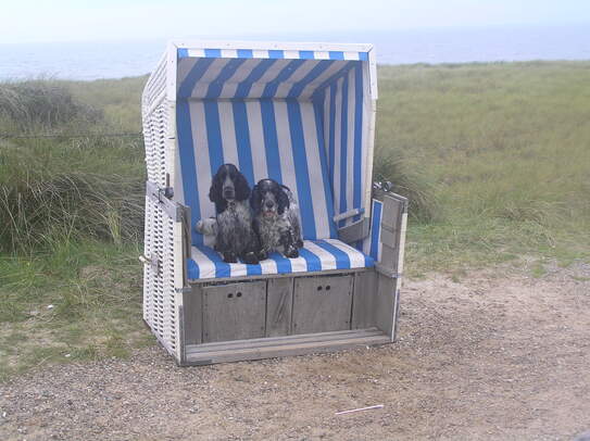 Es sitzt sich doch sehr bequem im Sylter Strandstuhl