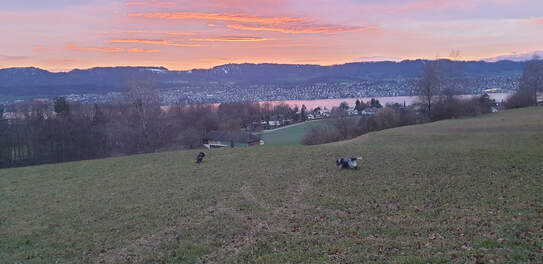 Das war schon umwerfend schön