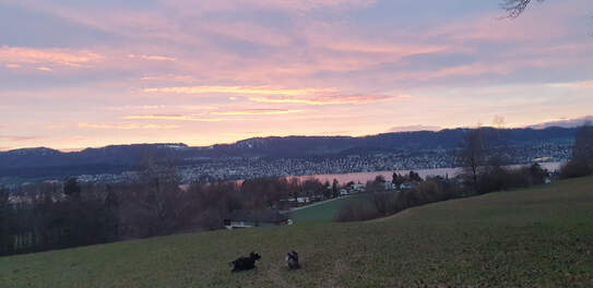 Das war schon schön