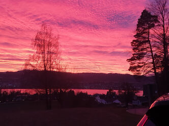 Soooo schön. Der Zürichsee blutrot.