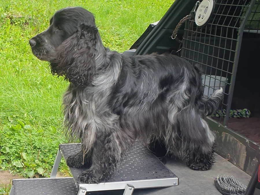 vor dem Spatziergang Cloud