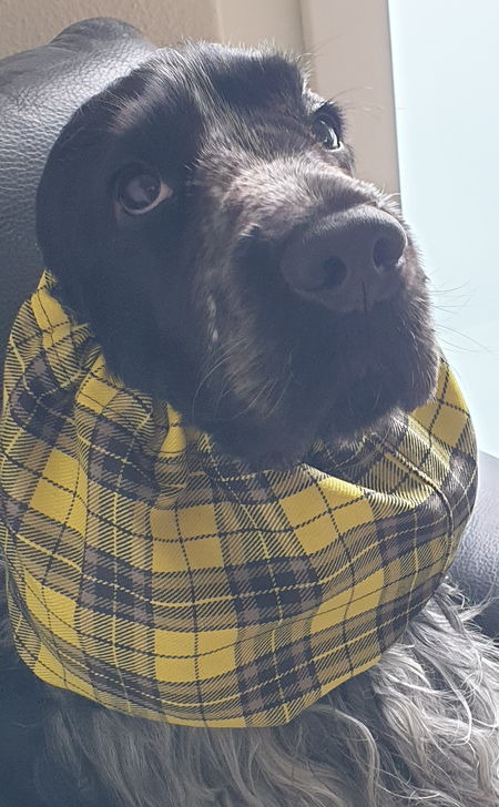 Cloud mit seinem Ohrschutz