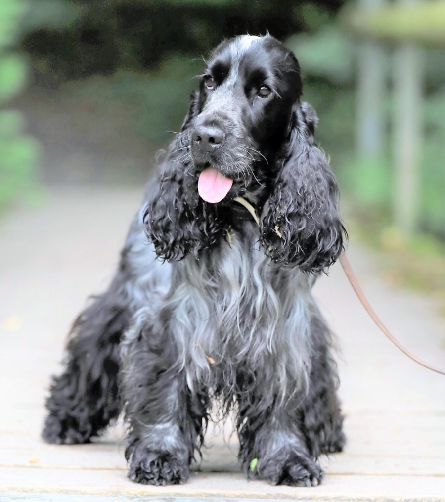 Cloud der Neugierige