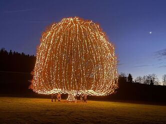 Unsere wunderschöne Weihnachtslinde in Küsnacht