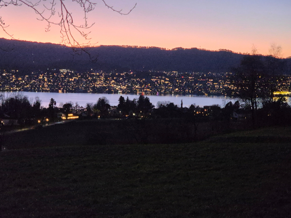 Zürichsee by night