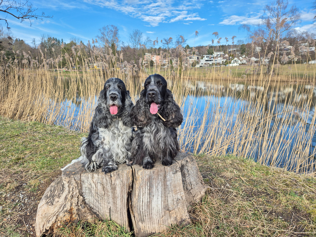 Schübel Cloud und Chedi