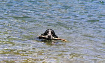 Engadin 2006 Lägh Cavloc