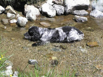 Engadin 2006 Rosegg Tal