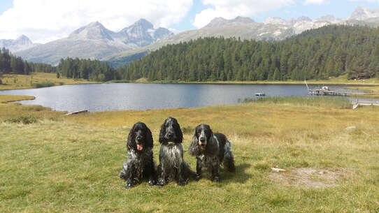Meine Buben am Stazersee